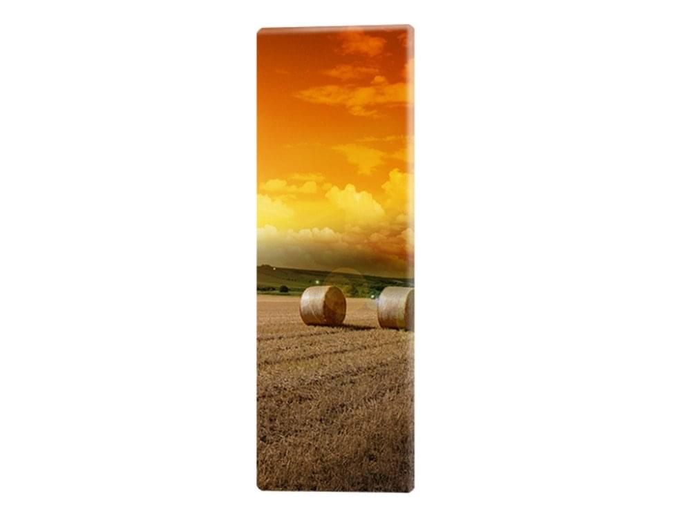 Leinwand 80 x 30 Hoch