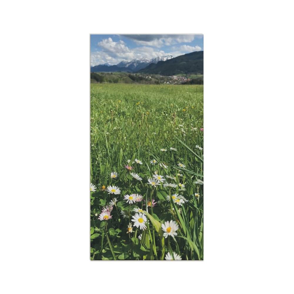 Leinwand 80 x 40 Hoch