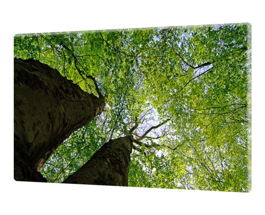 Leinwand 60 x 80 Quer