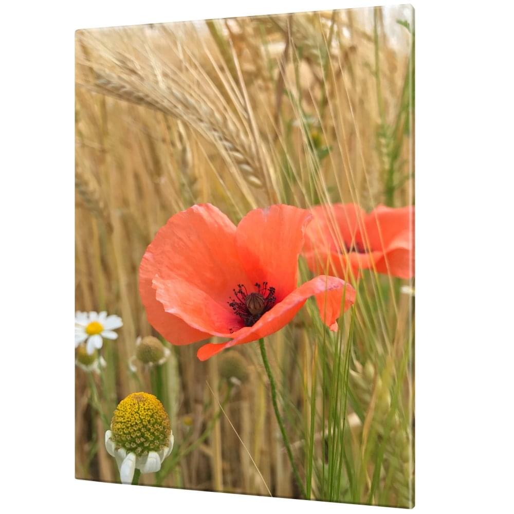 Leinwand 120 x 90 Hoch